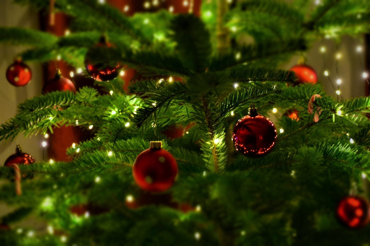 Showcasing Holiday Ornaments: Stunning Decor for Your Home