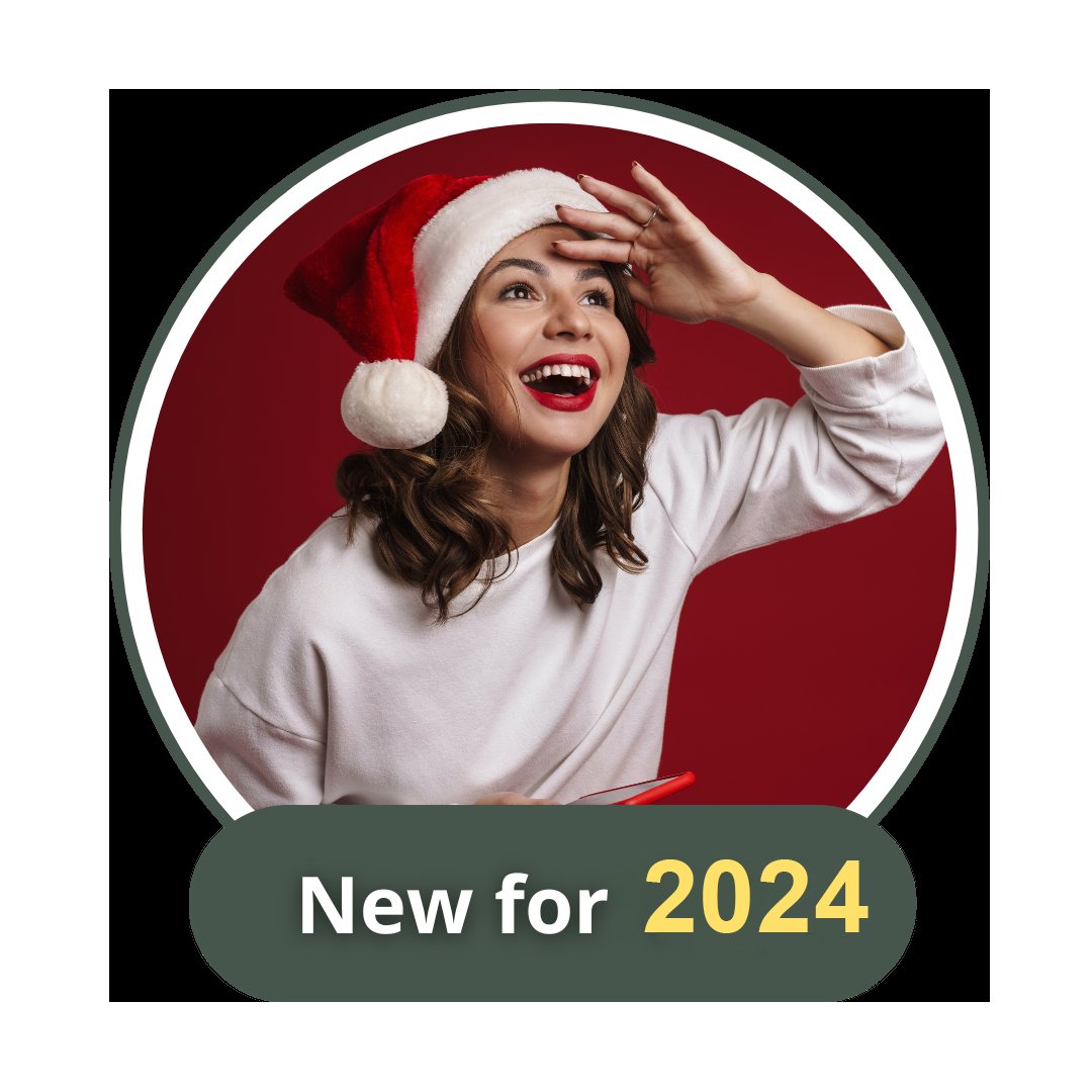 New For 2025 Ornaments