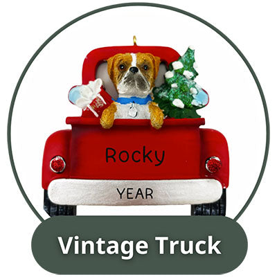 Dogs In Vintage Truck