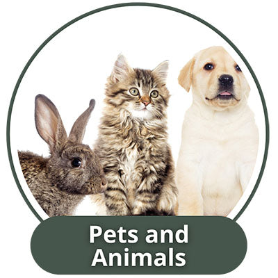 Pets & Animals Ornaments