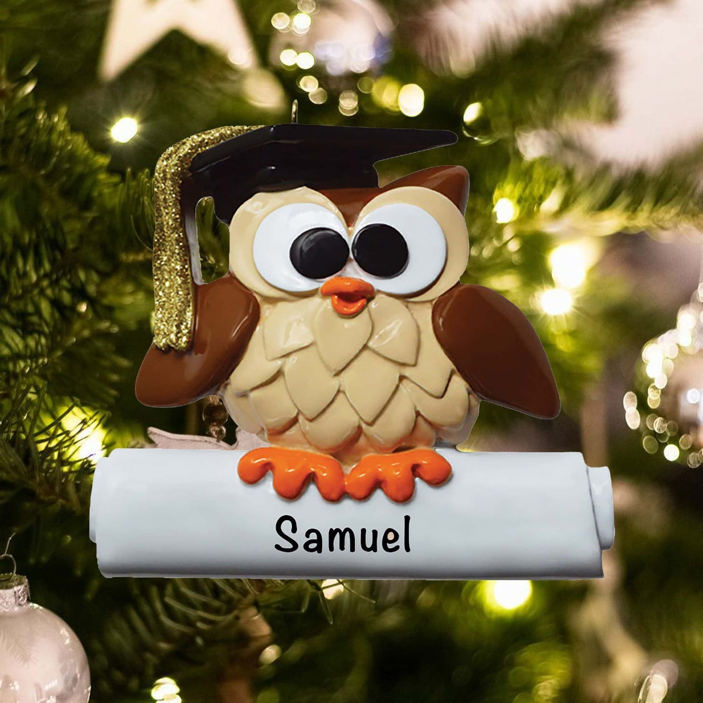 1222 Personalized Wise Owl Graduation Christmas Ornament