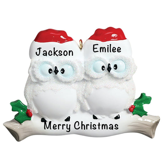 160-2 Owl Couple Personalized Christmas Ornament - Blank