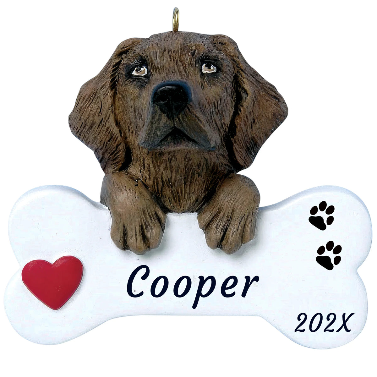 Personalized chocolate Lab Christmas ornament, the dog resting its paws on a white bone engraved with a pet name and year