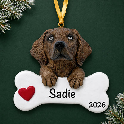 Personalized chocolate Lab dog bone Christmas ornament with a red heart, engraved name and year on a green holiday backdrop