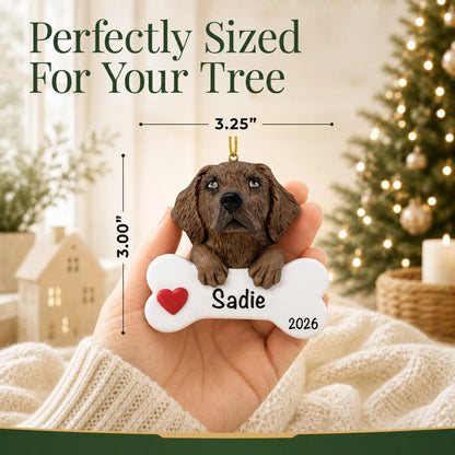 Hand holding the personalized chocolate Lab Christmas ornament to show its 3.25 by 3 inch size