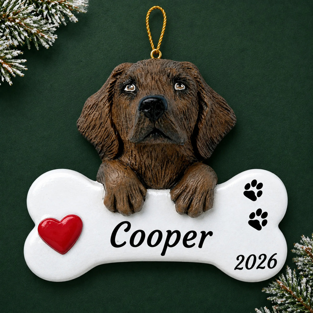 Personalized Chocolate Lab Dog Bone christmas ornament on a dark green pine background