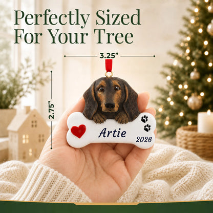Size guide: the personalized Black & Tan Dachshund Dog Bone christmas ornament is 3.25 in wide by 2.75 in tall, shown in hand