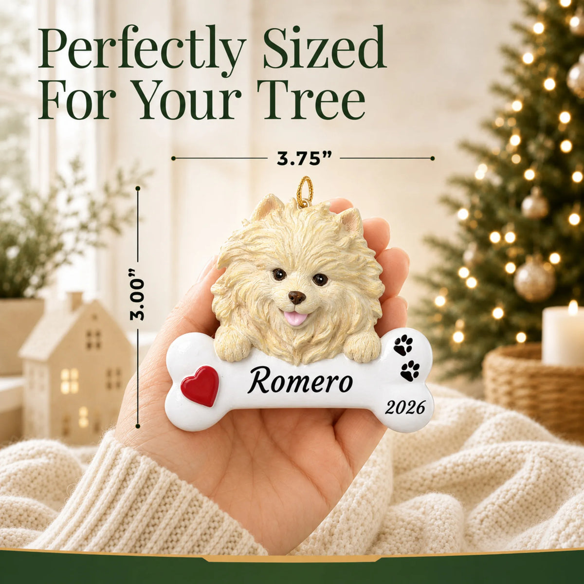 Size guide: the personalized Pomeranian Dog Bone christmas ornament is 3.75 in wide by 3.00 in tall, shown in hand
