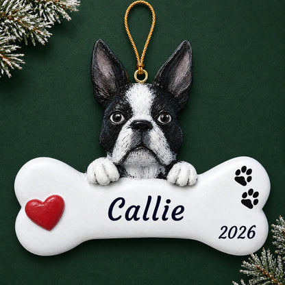 Personalized Boston Terrier Dog Bone christmas ornament on a dark green pine background