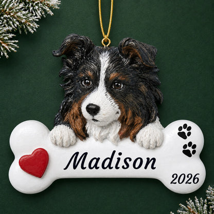 Personalized Australian Shepherd Dog Bone christmas ornament on a dark green pine background