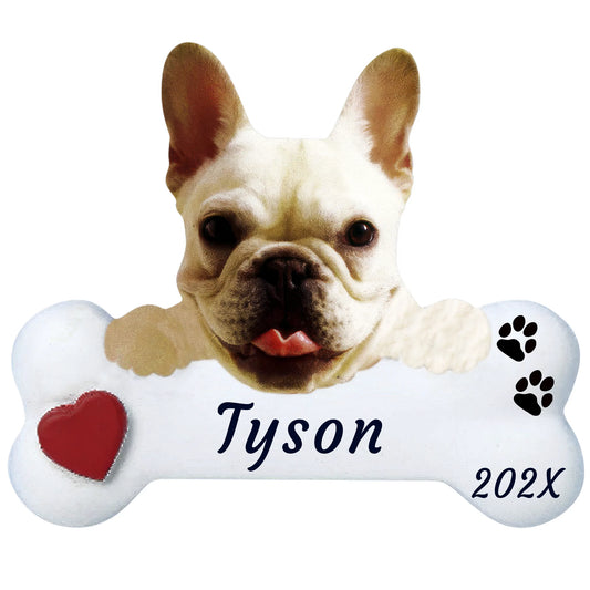 Personalized French bulldog dog bone Christmas ornament, a cream Frenchie with bat ears on a white bone, name and year