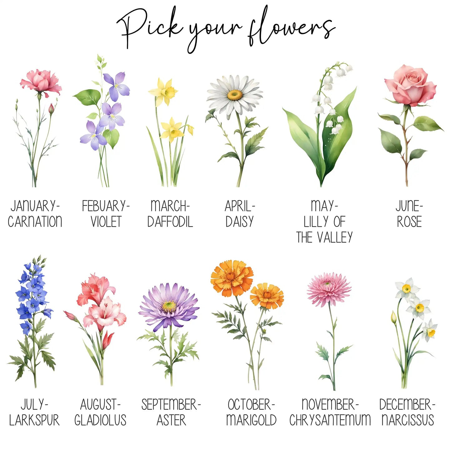 Illustrations of flowers corresponding to each month with text labels.