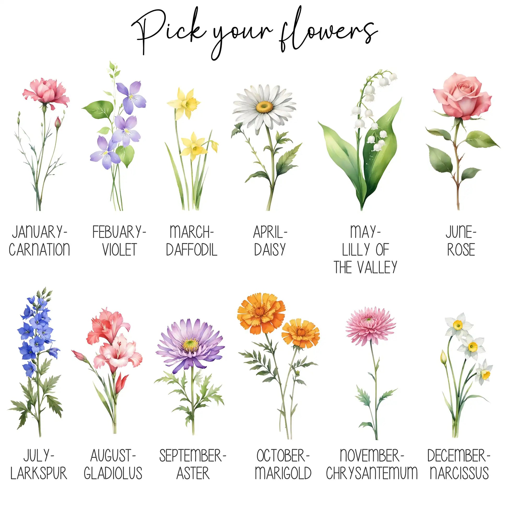 Illustrations of flowers corresponding to each month with text labels.