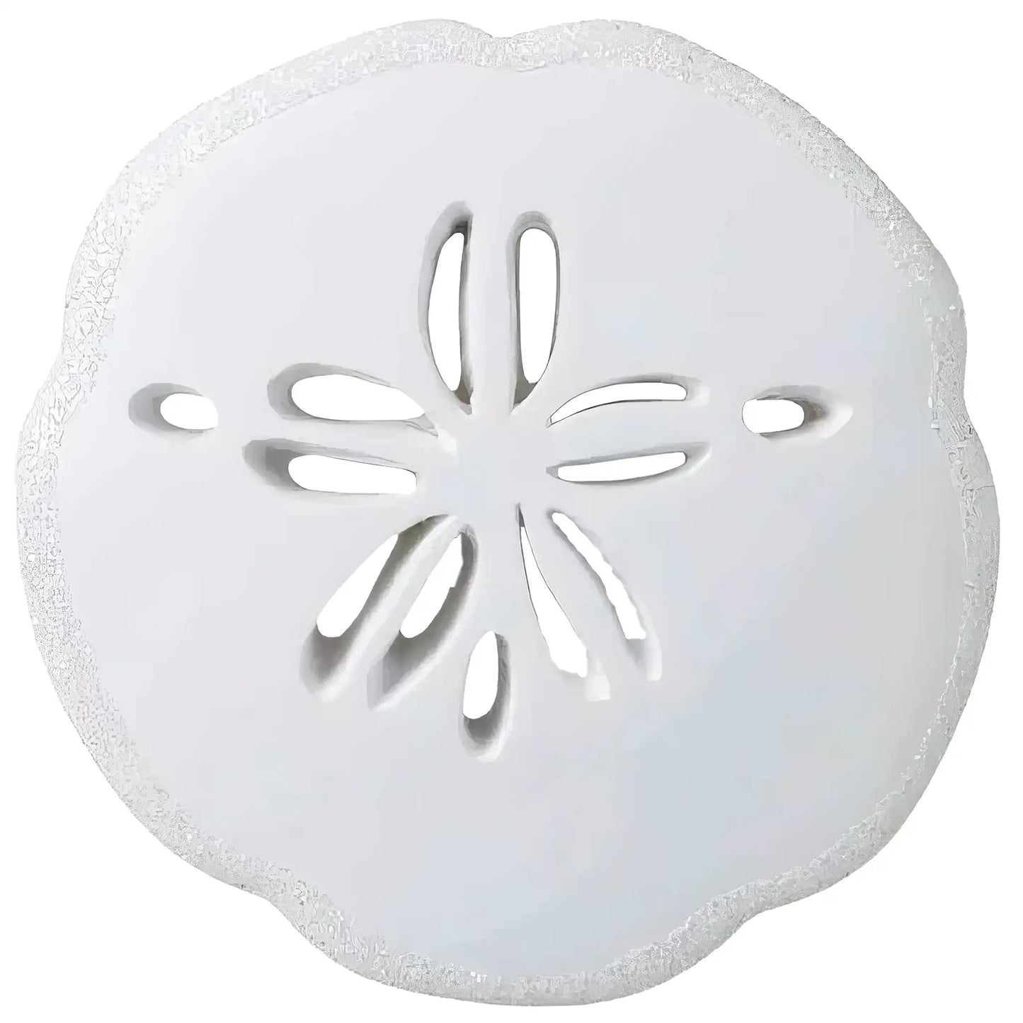 Sand Dollar Personalized Christmas Ornament