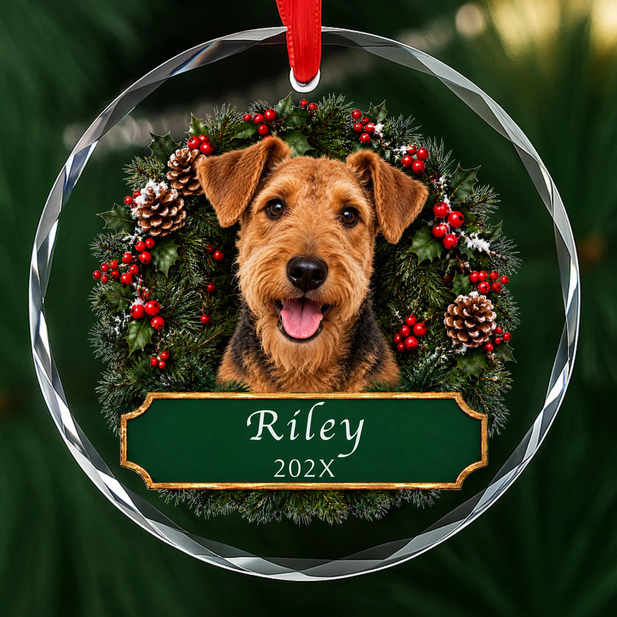 Personalized Airedale Christmas ornament in round glass with a holly wreath and a green plaque engraved with a name and year