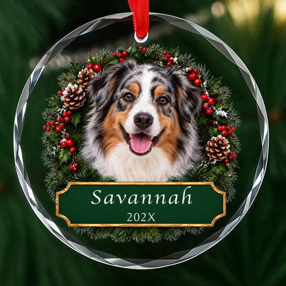 Personalized Australian Shepherd Christmas ornament in round glass with a holly wreath and a green plaque engraved with a name and year