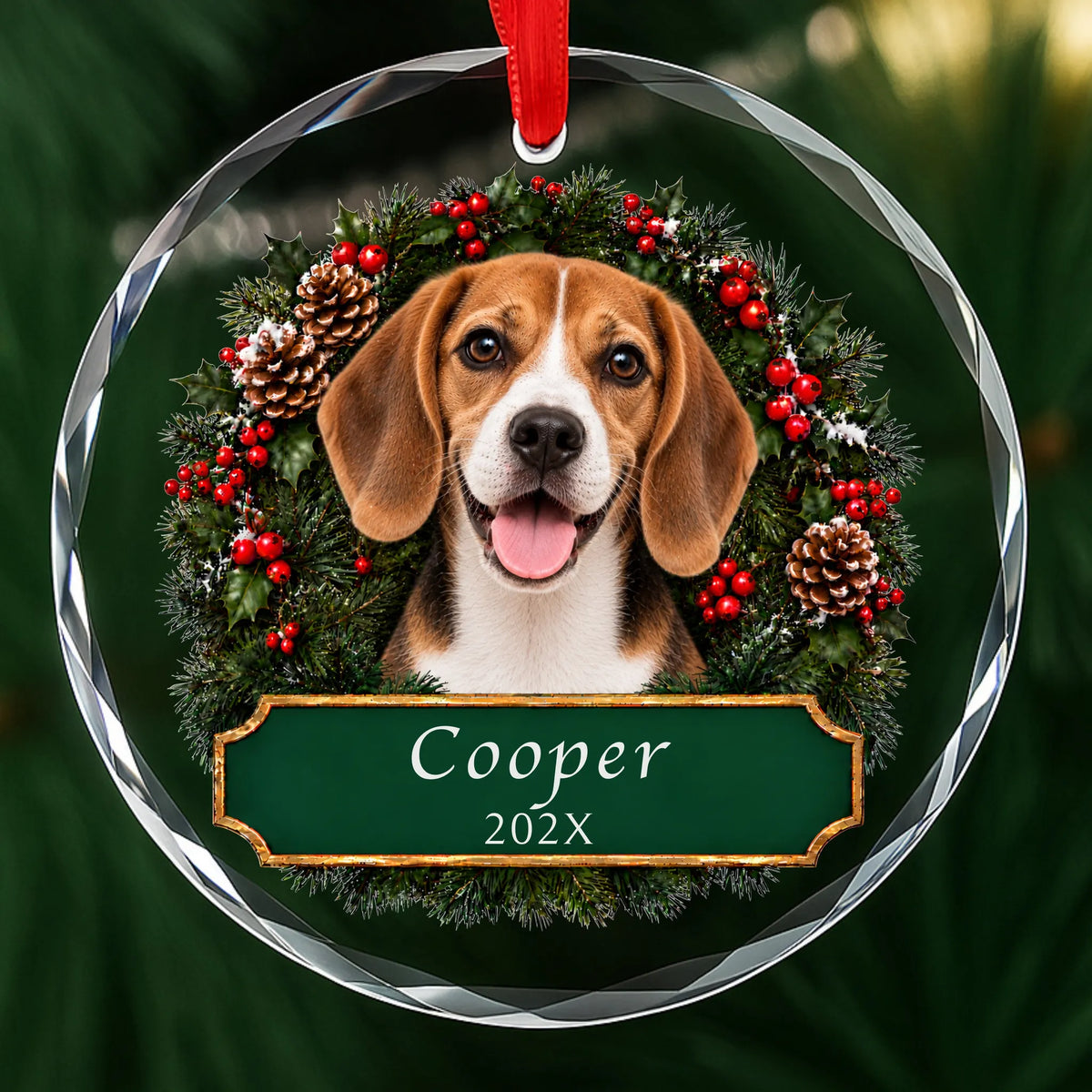 Personalized Beagle Christmas ornament in round glass with a holly wreath and a green plaque engraved with a name and year