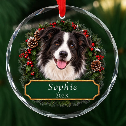 Personalized Border Collie Christmas ornament in round glass with a holly wreath and a green plaque engraved with a name and year