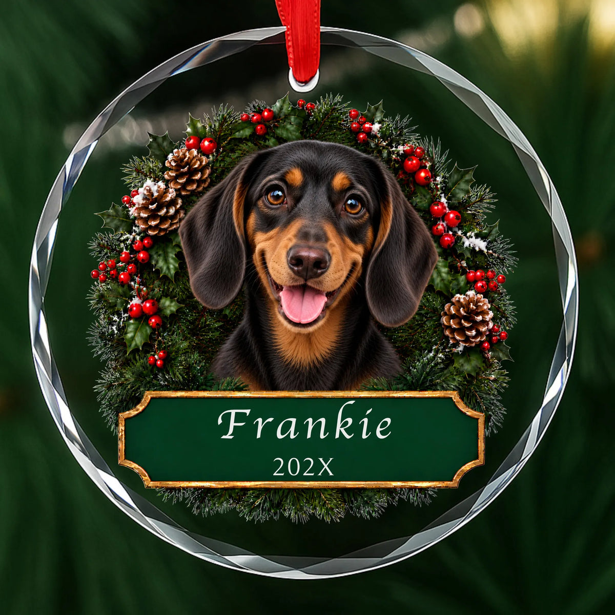 Personalized black and tan Dachshund Christmas ornament in round glass with a holly wreath and a green plaque engraved with a name and year