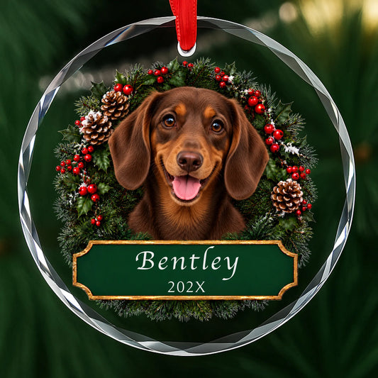 Personalized tan Dachshund Christmas ornament in round glass with a holly wreath and a green plaque engraved with a name and year