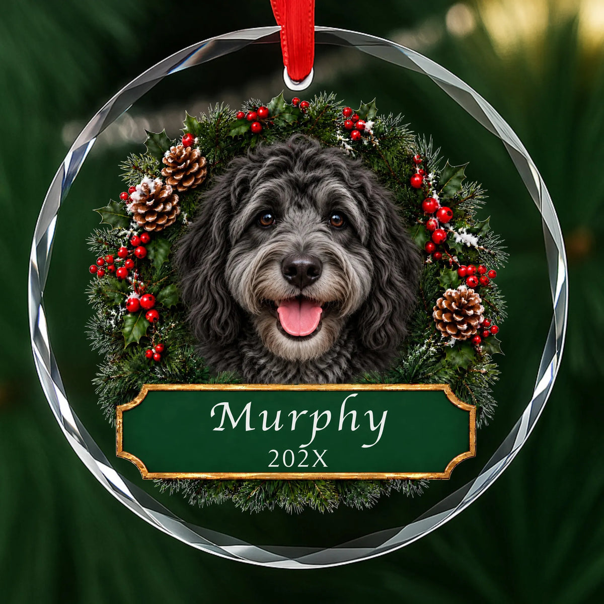Personalized black and white Doodle Christmas ornament in round glass with a holly wreath and a green plaque engraved with a name and year