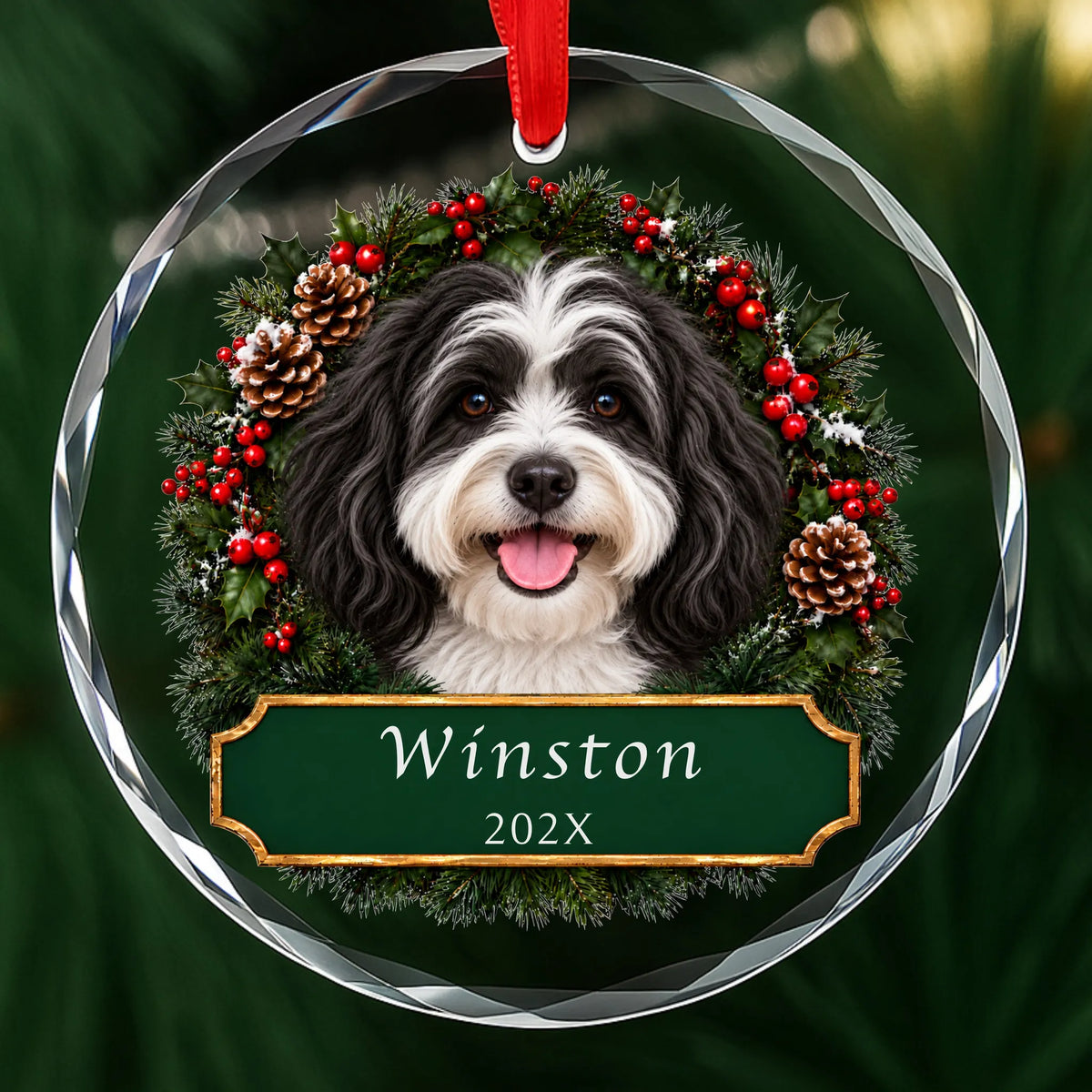 Personalized black and white Havanese Christmas ornament in round glass with a holly wreath and a green plaque engraved with a name and year