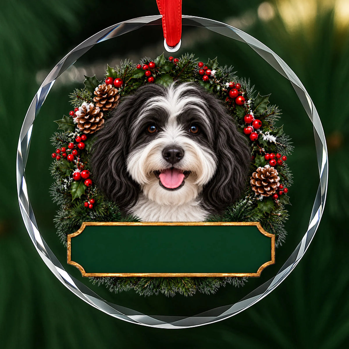 Black and White Havanese festive wreath glass Christmas ornament with a blank green plaque, ready to personalize
