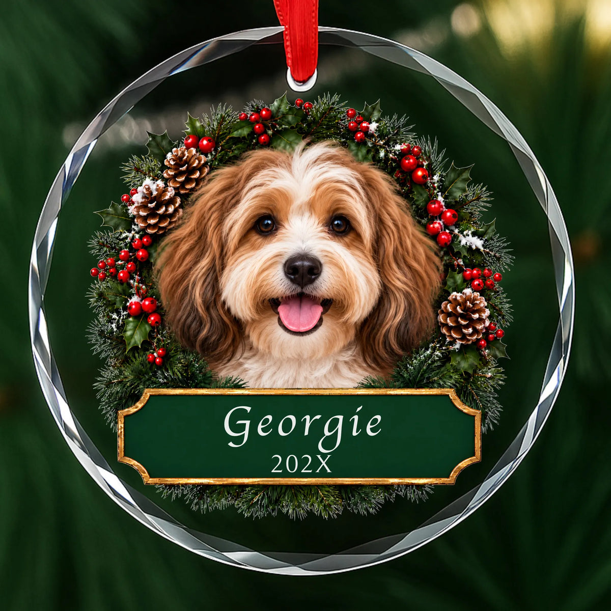 Personalized tan and white Havanese Christmas ornament in round glass with a holly wreath and a green plaque engraved with a name and year