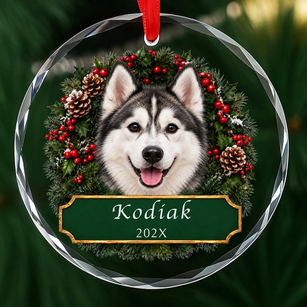 Personalized Husky Christmas ornament in round glass with a holly wreath and a green plaque engraved with a name and year