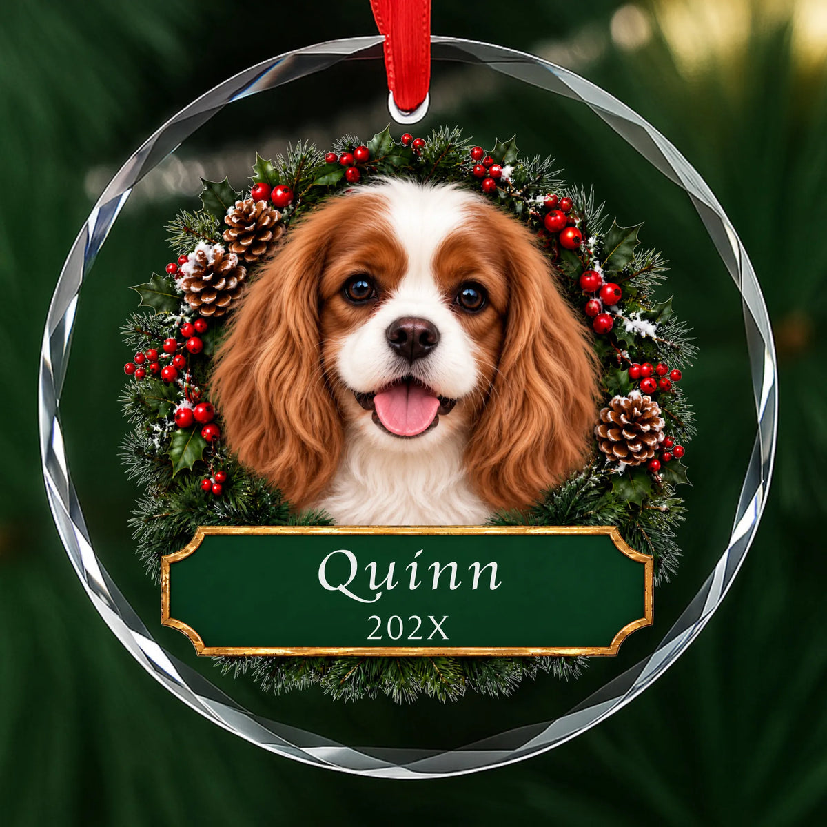 Personalized Cavalier King Charles Christmas ornament in round glass with a holly wreath and a green plaque engraved with a name and year
