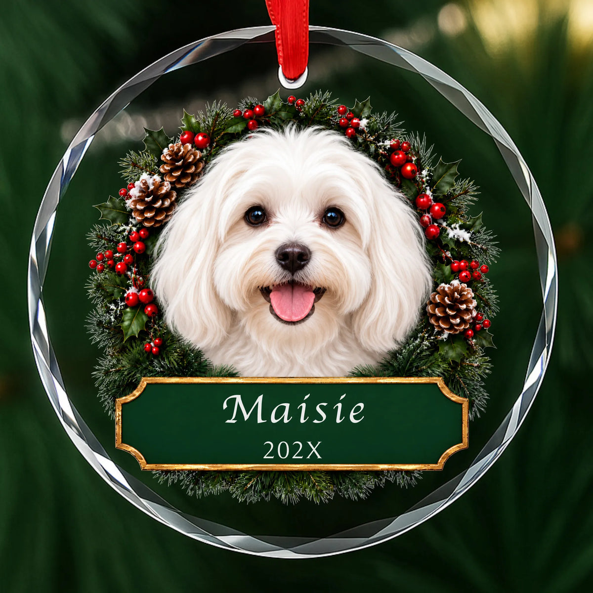 Personalized Maltese Christmas ornament in round glass with a holly wreath and a green plaque engraved with a name and year