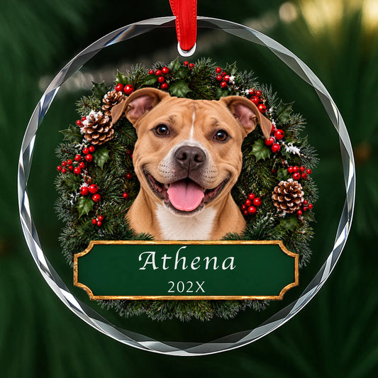 Personalized tan Pit Bull Christmas ornament in round glass with a holly wreath and a green plaque engraved with a name and year