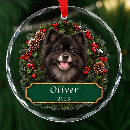 Personalized black Pomeranian Christmas ornament in round glass with a holly wreath and a green plaque engraved with a name and year