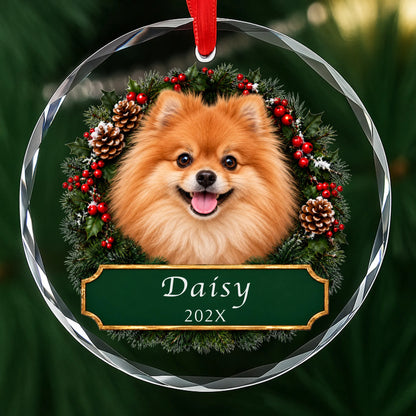 Personalized orange Pomeranian Christmas ornament in round glass with a holly wreath and a green plaque engraved with a name and year
