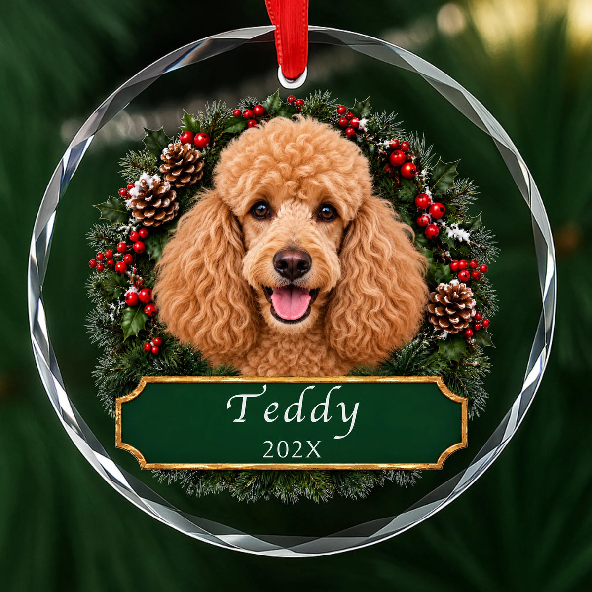 Personalized apricot Poodle Christmas ornament in round glass with a holly wreath and a green plaque engraved with a name and year