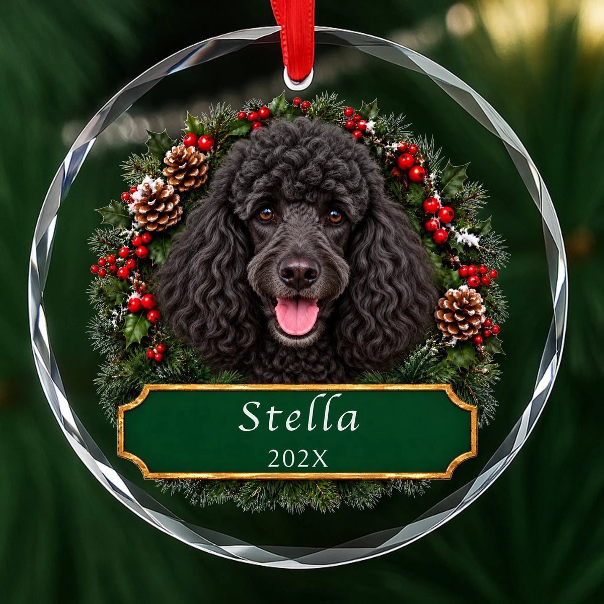 Personalized black Poodle Christmas ornament in round glass with a holly wreath and a green plaque engraved with a name and year