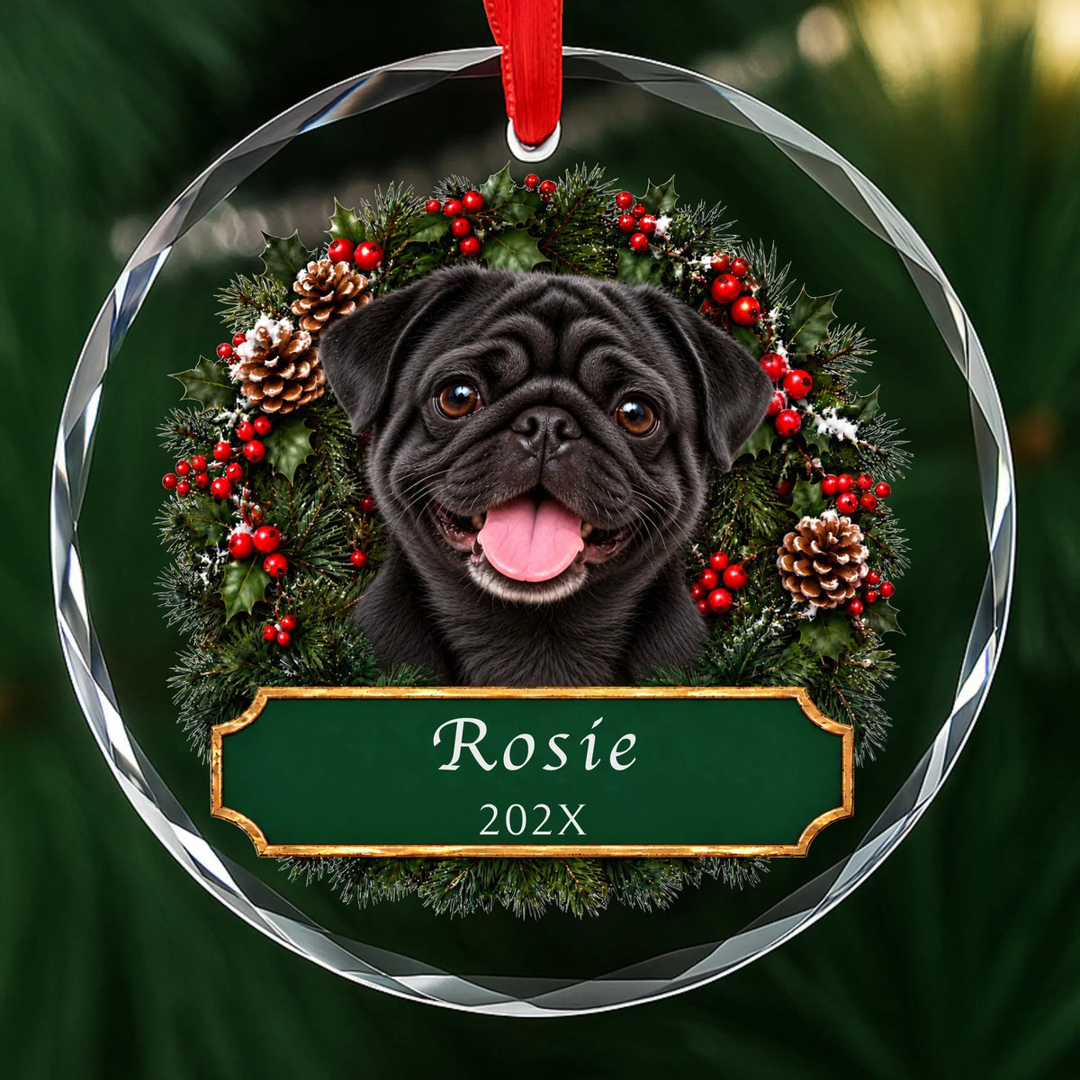 Personalized black Pug Christmas ornament in round glass with a holly wreath and a green plaque engraved with a name and year