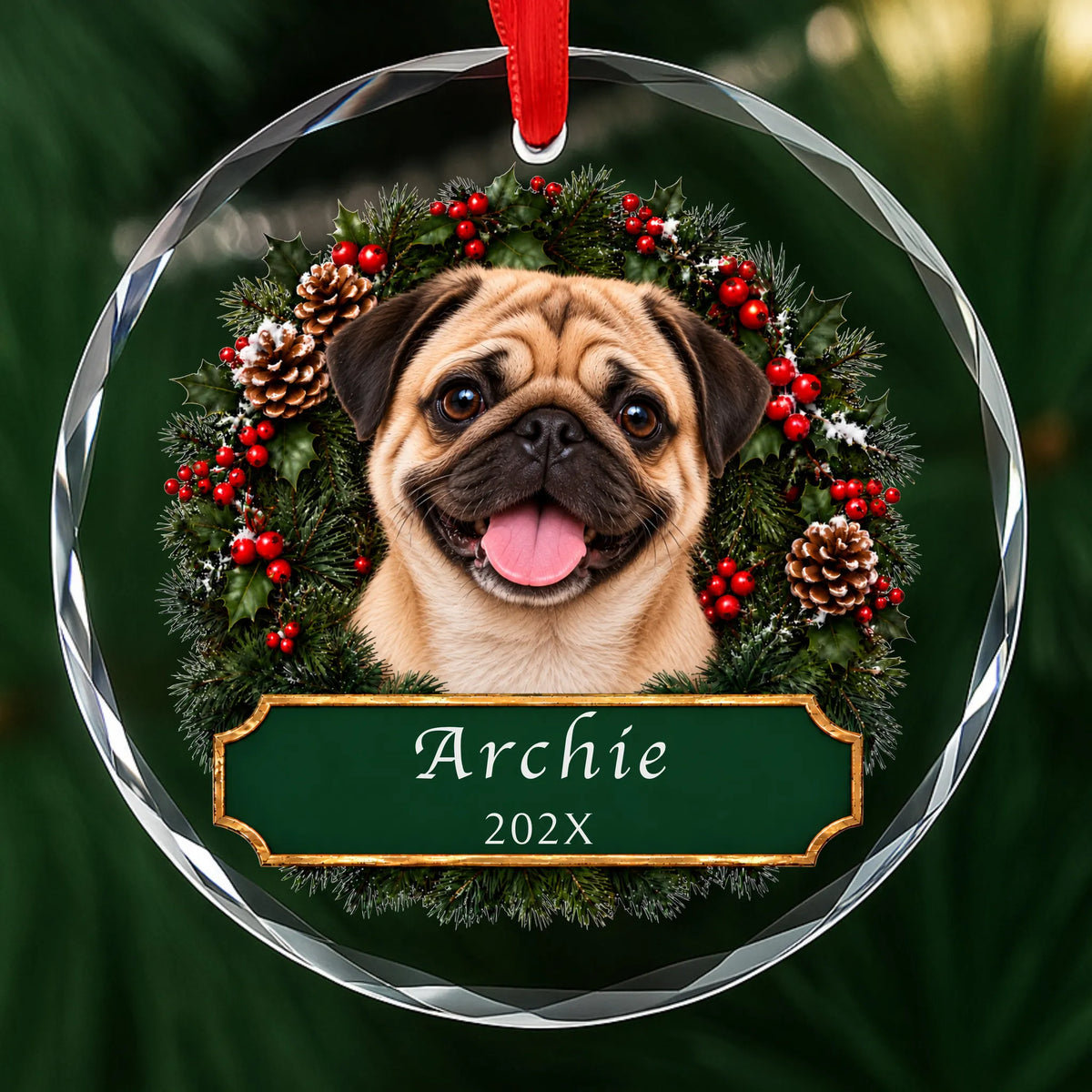 Personalized fawn Pug Christmas ornament in round glass with a holly wreath and a green plaque engraved with a name and year