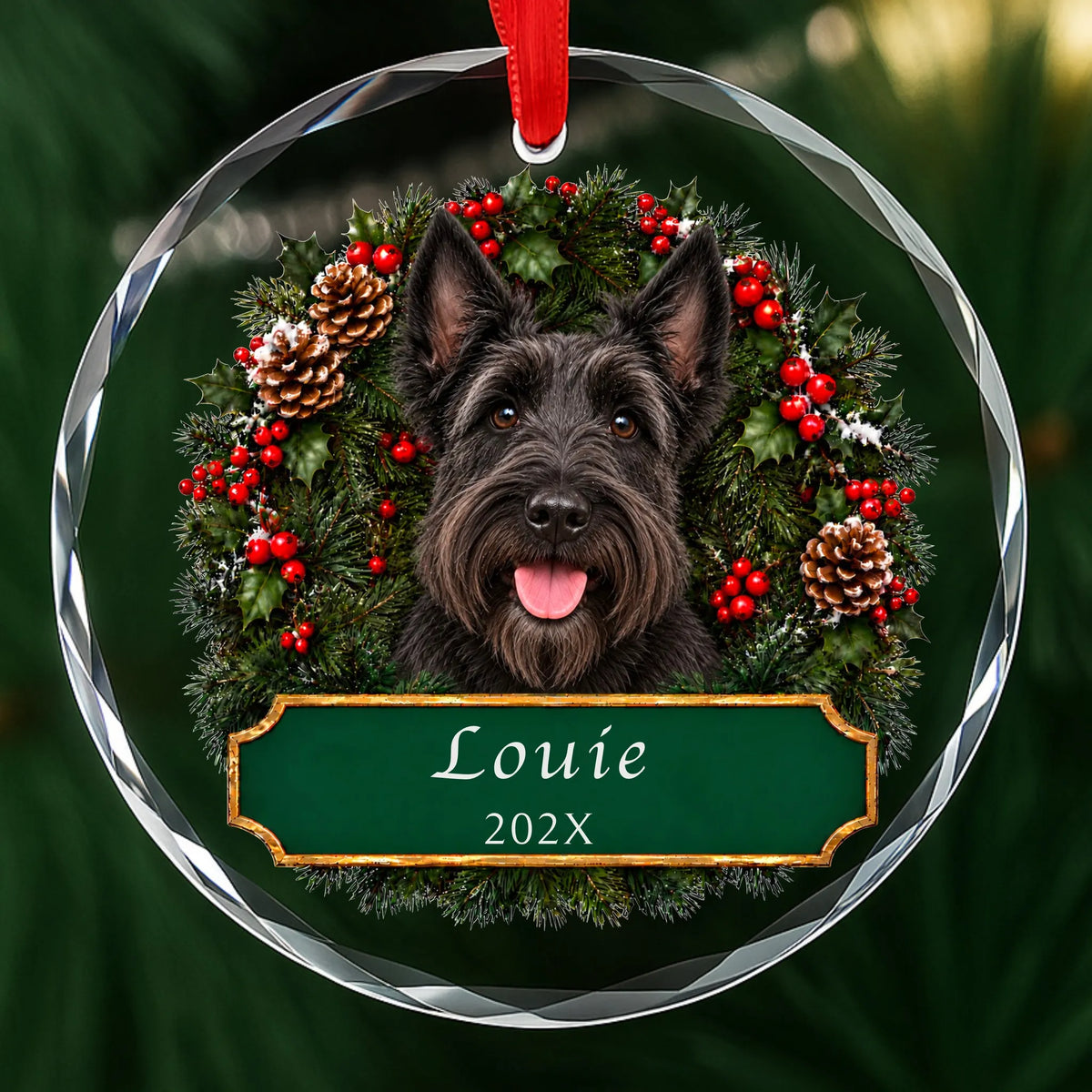 Personalized Scottie Christmas ornament in round glass with a holly wreath and a green plaque engraved with a name and year