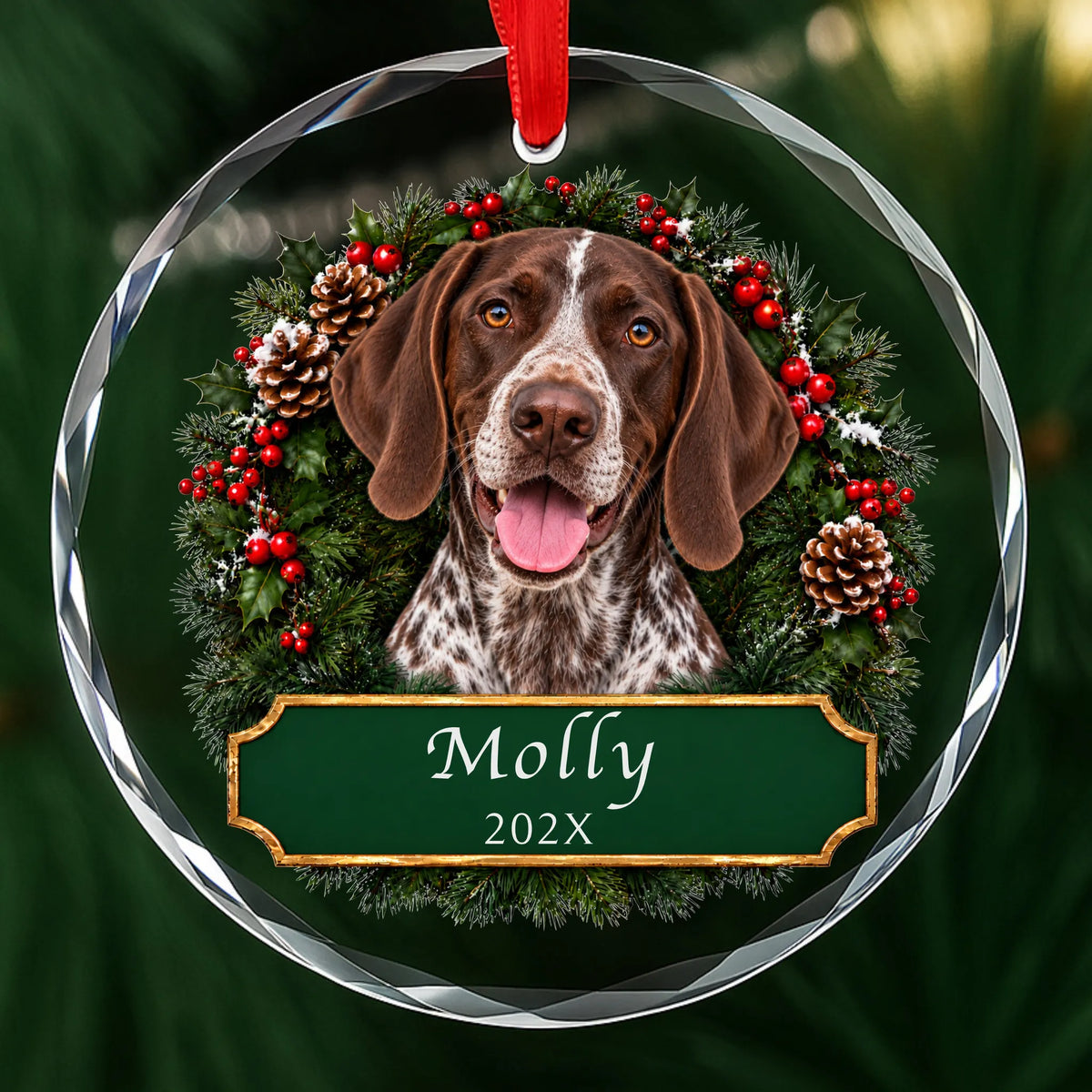 Personalized German Shorthaired Pointer Christmas ornament in round glass with a holly wreath and a green plaque engraved with a name and year