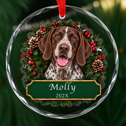 Personalized German Shorthaired Pointer Christmas ornament in round glass with a holly wreath and a green plaque engraved with a name and year