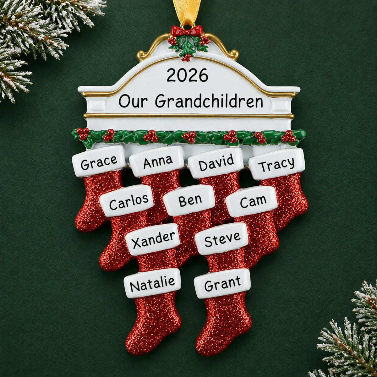 Personalized red stockings family of 11 christmas ornament on a dark green pine background