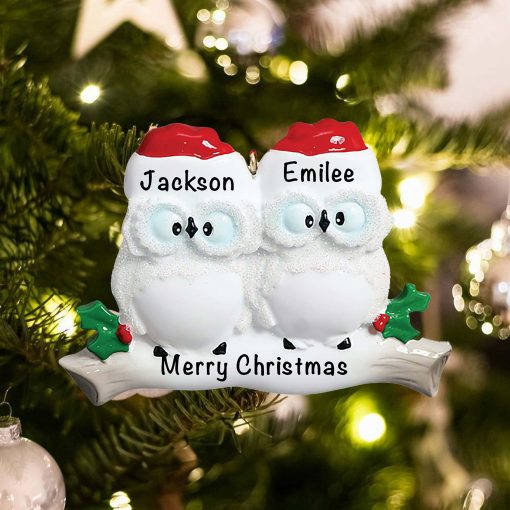 Personalized Owl Family of 2 Christmas Ornament