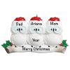 Owl Family of 3 Personalized Christmas Ornament