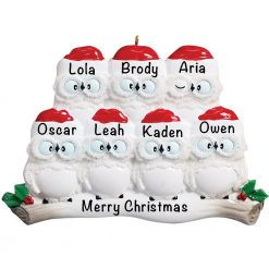 Owl Family of 7 Personalized Christmas Ornament