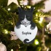 Personalized Tuxedo Cat Christmas Ornament
