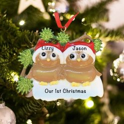 Personalized Brown Owl Couple Christmas Ornament