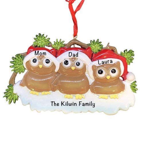 Brown Owl Family of 3 Personalized Christmas Ornament