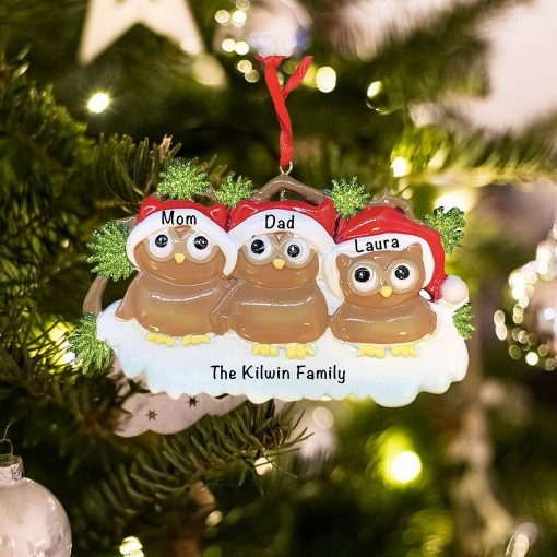Personalized Brown Owl Family of 3 Christmas Ornament