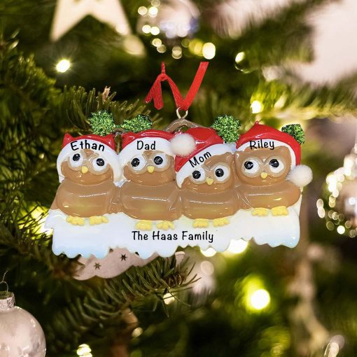 Personalized Brown Owl Family of 4 Christmas Ornament